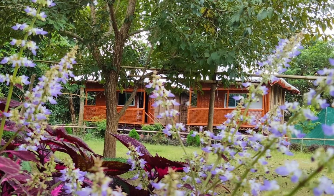 מלון Kāziranga Tiger'S Wood Glamping & Eco-Retreat מראה חיצוני תמונה